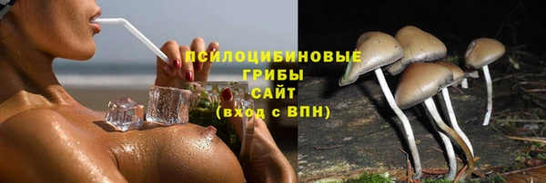 мяу мяу мука Алексин