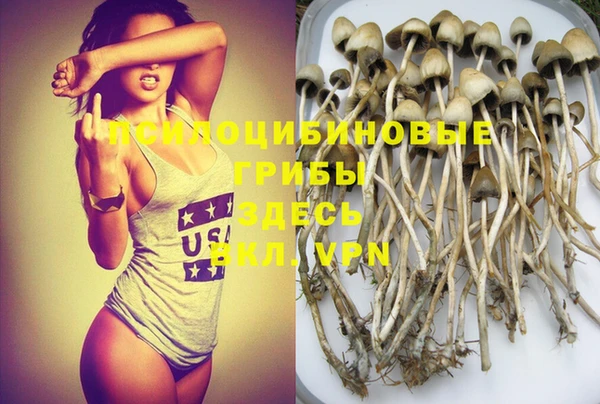 мяу мяу мука Алексин